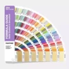 PANTONE C
