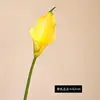 Jaune-63cm
