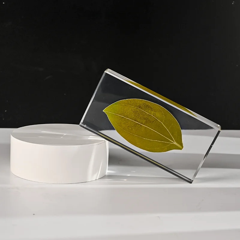 product shining clear glass custom crystal dome paperweight leaf specimen art creative gift book desktop blank crystal cube-8