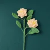 Ramo di Gardenia - Rosa Coreano