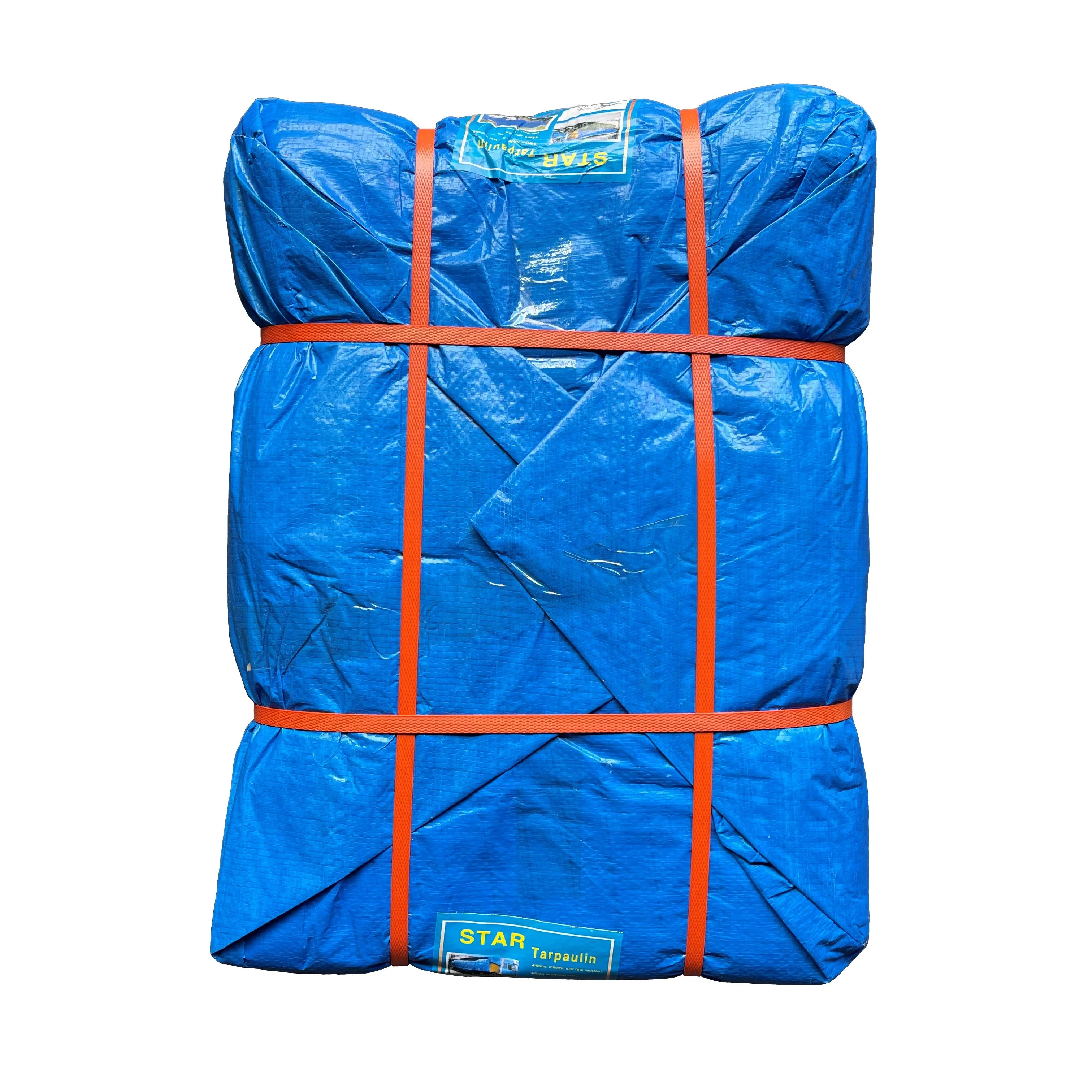 PE Tarpaulin Most Popular in Tanzania Hot Selling Africa Good Price High Quality Poly Tarp Waterproof Rain Cover