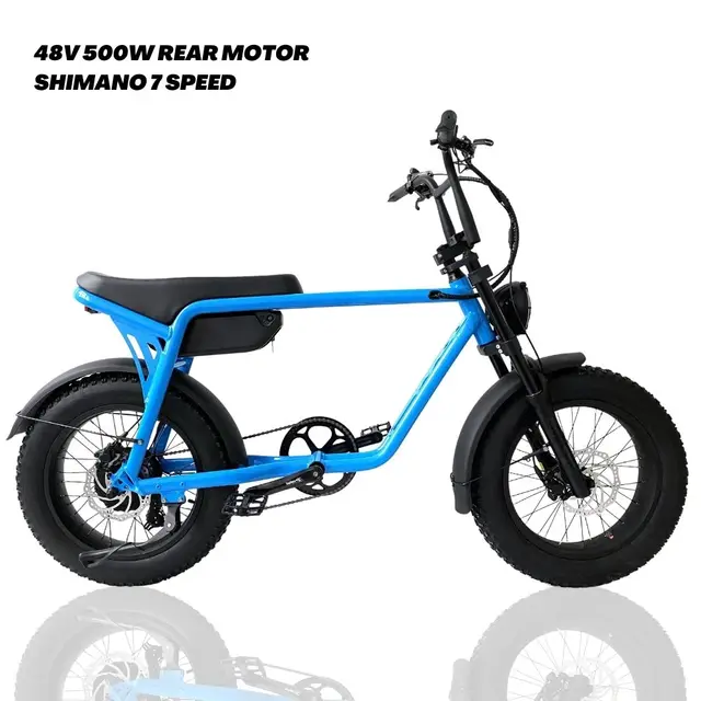 Fast e-bike e bikes 2023 electric bicycle step through electric bike long range dual motor ebike