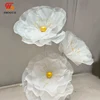 solo cabeza de flor