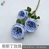 Austin Rose Y Bleu