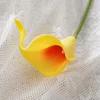 สี4