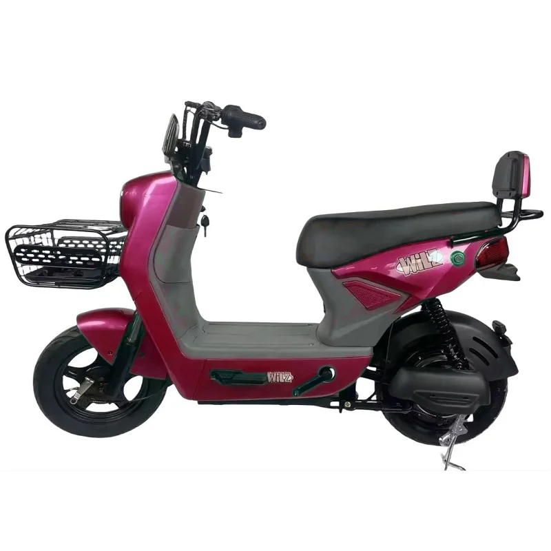 48V Battery Electric Bike Smart City Ebike for Adults