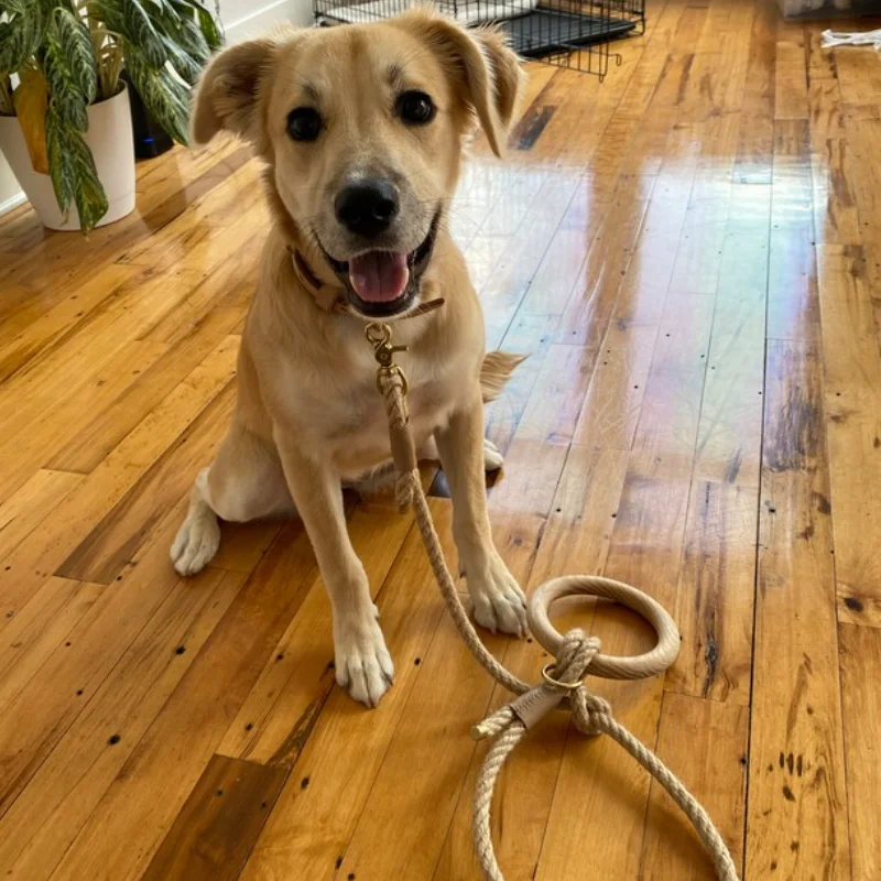 Rope Dog Leash Lead Pet Strong Heavy Duty Dog Training Leash Lead Rope