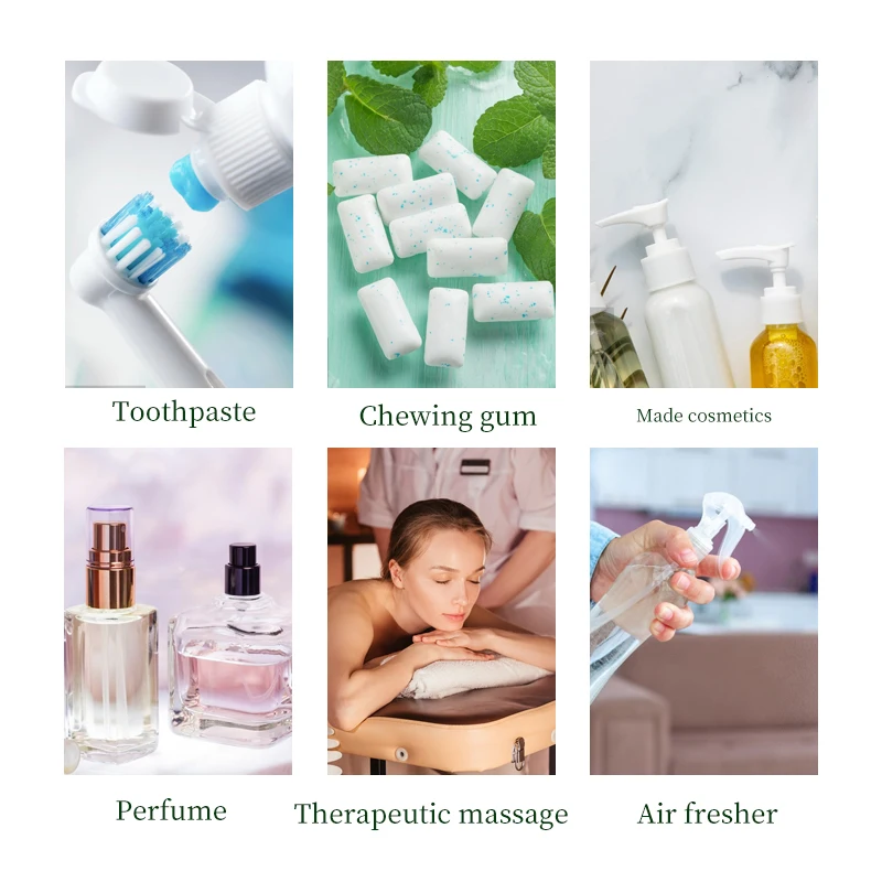 เมนทิล PCA รสชาติและกลิ่น L-Pyroglutamate Menthol Liquid CAS 64519-44-4 1