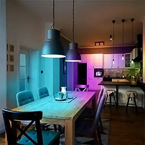 WIFI APP Control LED Smart Bulb RGBW Color Changing 110v 220v A60 Ra80 E27 10W SMD 2835 Dimmable Indoor