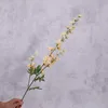 สีแชมเปญ
