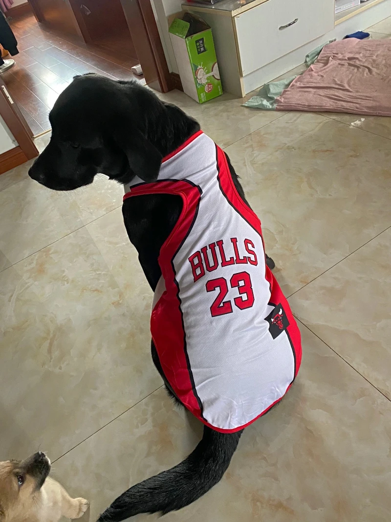 Chicago Bulls Pet Jersey