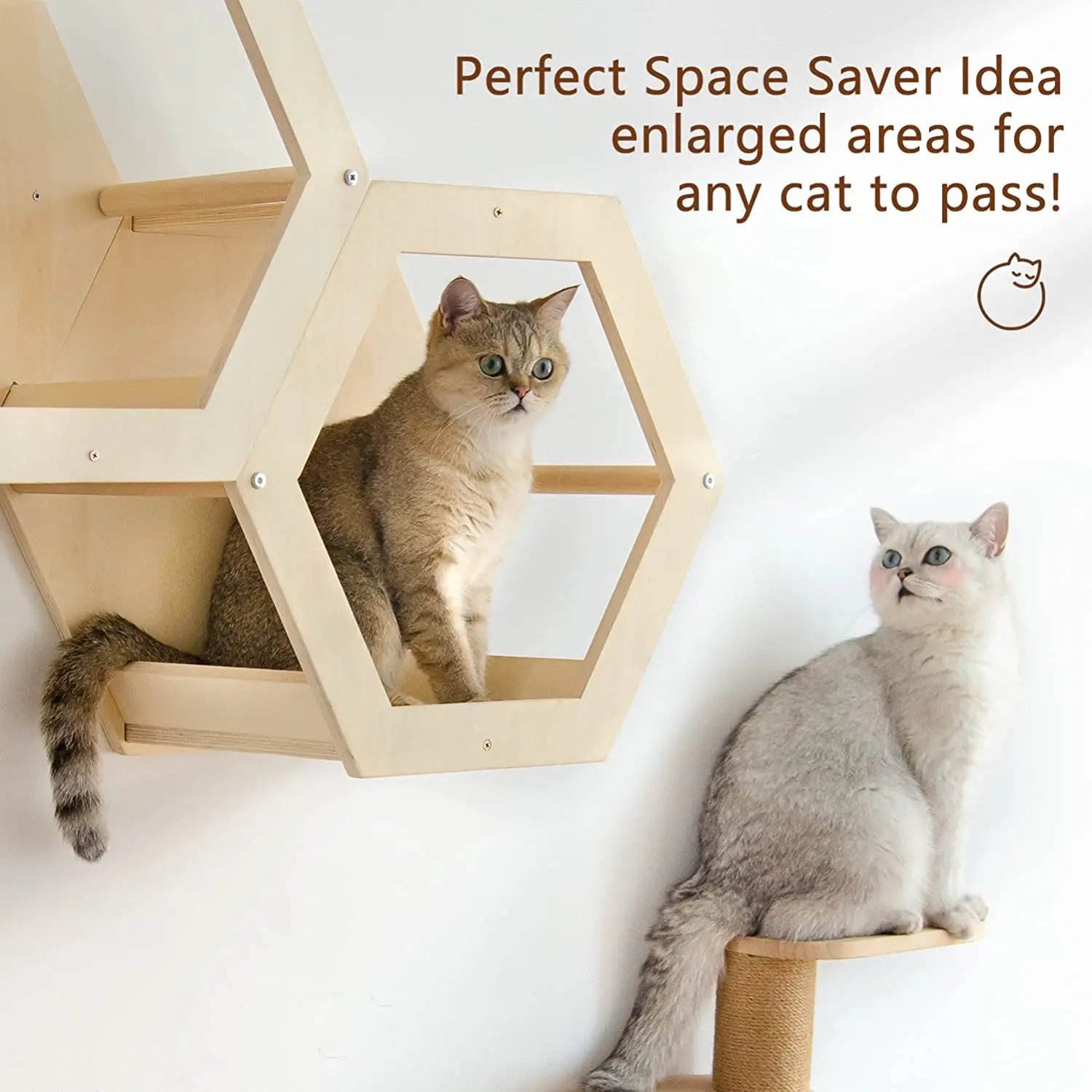 Cat Shelves Condos Cat Furniture Wall Mounted Cat Wall Steps Set With Hexagon Shelves Buy Cat