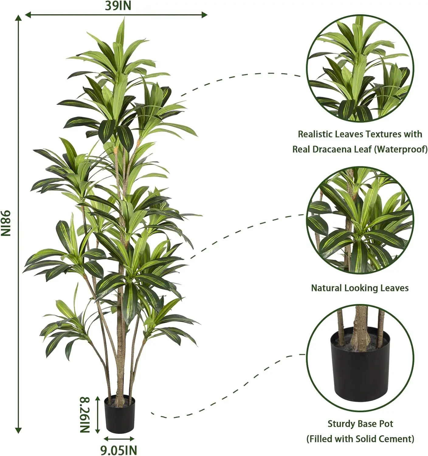 types of indoor yucca plants Explore Our Dracaena Yucca Cane main image 0