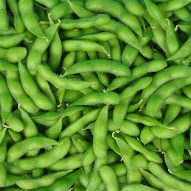 frozen green soybeans frozen peeled edamame without pods