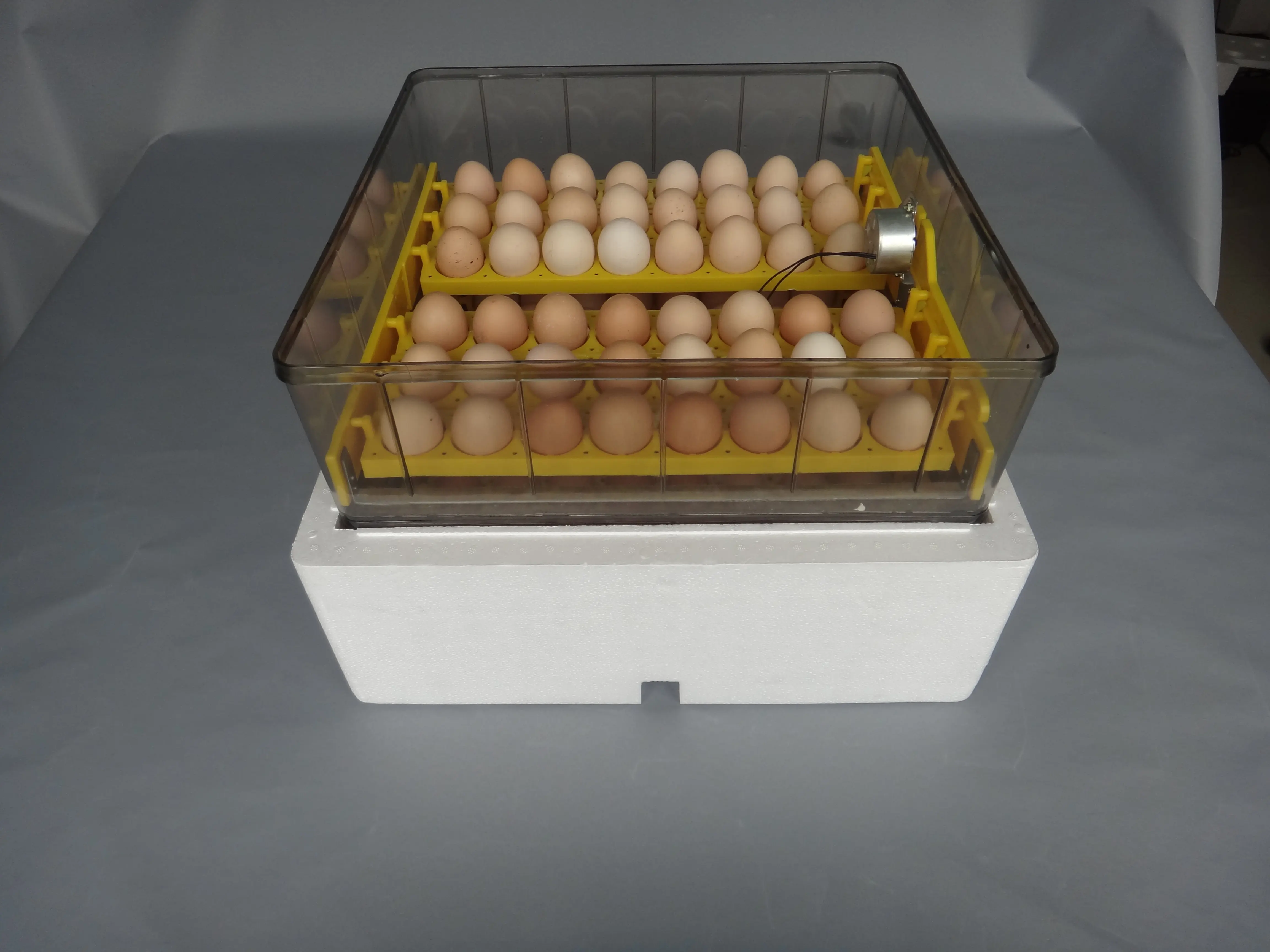 Manufacturer Latest 96 Eggs Incubator Lab Intelligent Automatic Large Incubator