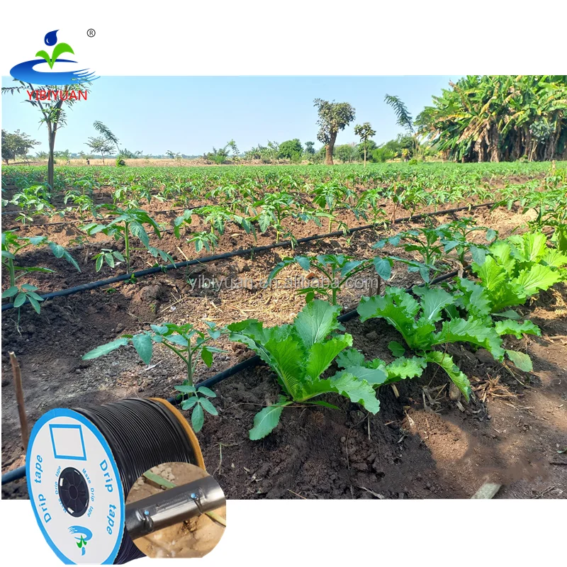 Agriculture Automation Drip Irrigation System Tape for Farm Irrigation 1ha Dripline