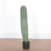 D-65CM