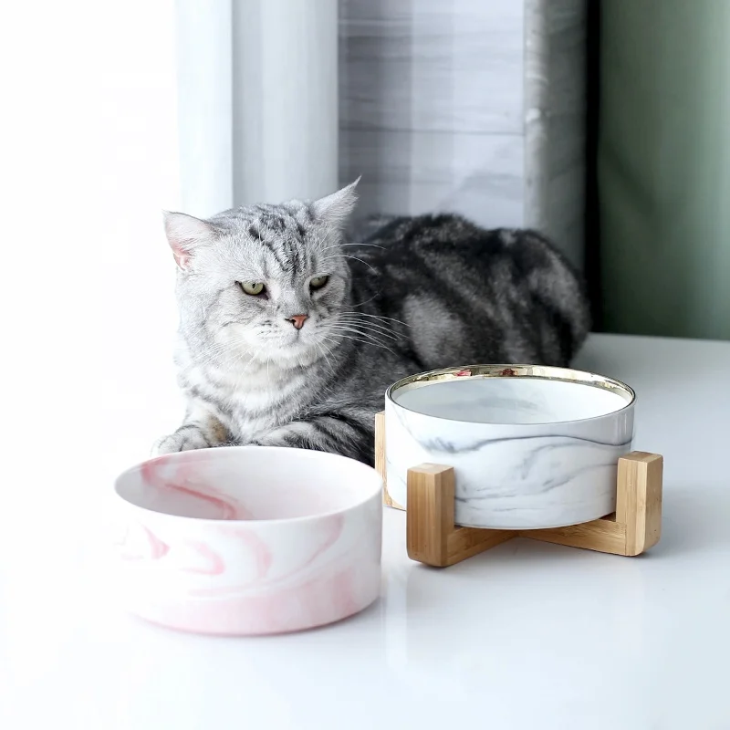 portable cat bowl