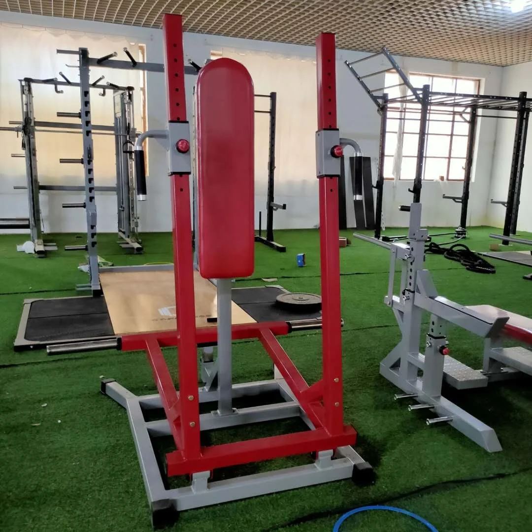 Heavy Duty Watson Gym Equipment for Fitness Club