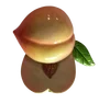 Peach S22486