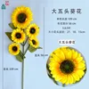 Girasol Grande de Cinco Cabezas XZG - Se Envía en Unidades Separadas