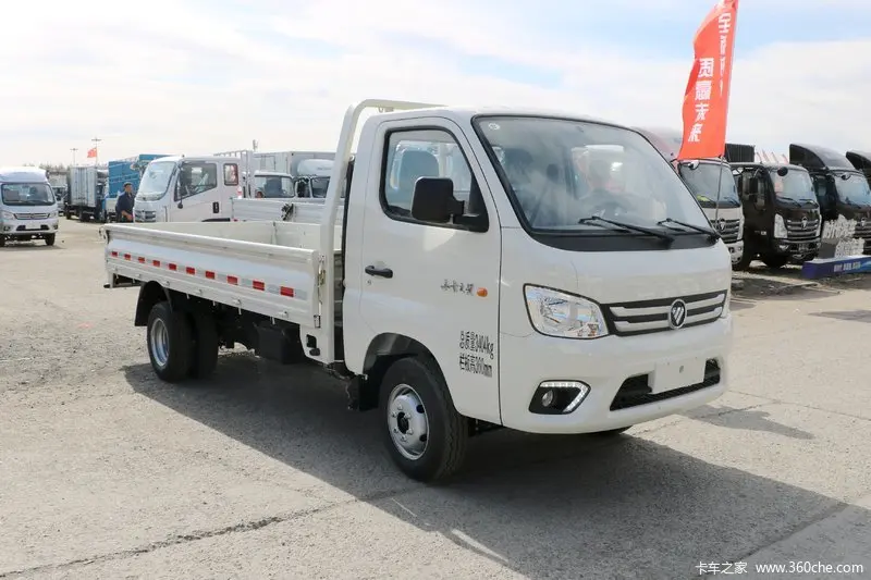 Foton 4x2 2 Tones Light Cargo Truck