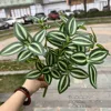 7 fork green eye eyebrow leaf