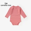 79# Rosa camelia