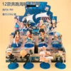 12 ชิ้น/ชุด