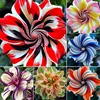 1# Mixed varieties