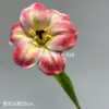 Tulipanes de EVA