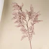 สีชมพู