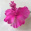 Rouge rose