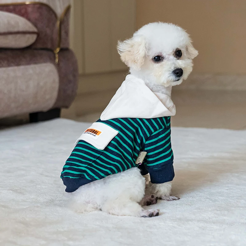 Fashion Designer Dog Branded Dog Clothes Luxury Polyester Dog