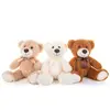Beige, marrone chiaro e marrone scuro