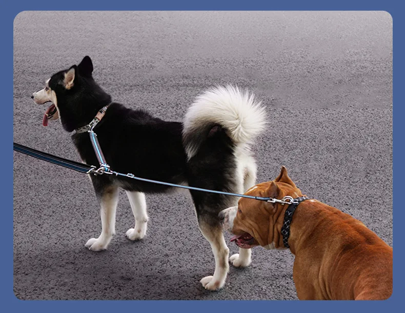 Double-Headed Reflective Eco-friendly Nylon Dog Walking Leash Solid One-to-Two Strap with Ribbon Decoration for Large Breed Dogs
