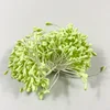 Yellow Green