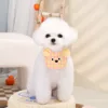 little bear