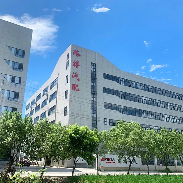 Upgrade your inventory with our premium automatic running boards