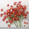 Red six-headed blue star flower branch