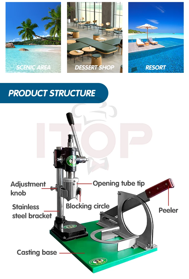Young Green Coconut Opener Tool Dispositivos De Apertura De Coco Fruit