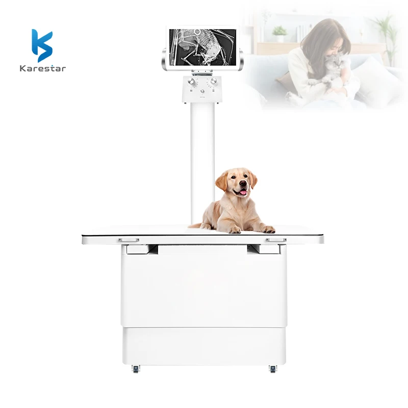 Dog Dr Ks Vet K-XR10 Veterinary DR X Ray Digital Machine For