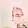 Couleur champagne