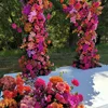 1 # rosa