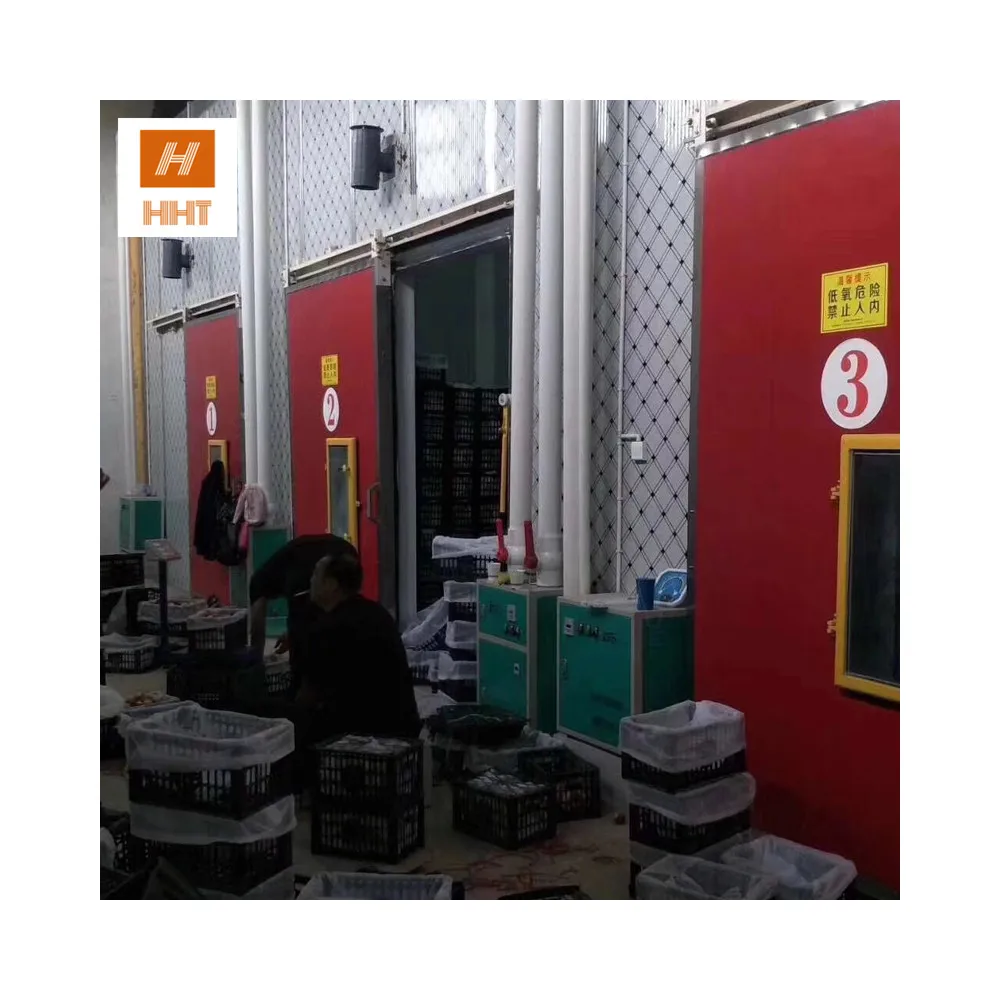 Cold Room Storage for Beverages Date Cold Room Seed Storage Cooling System Small Cold Room for Fruits Vegetables Meat Chicken