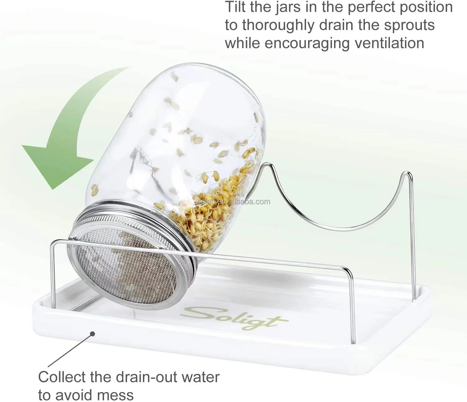 Complete Mason Jar Sprouting Kit 2 Wide Mouth Quart Sprouting Jars