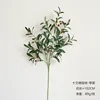 102cm with fruit