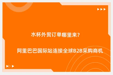 水杯外贸订单哪里来？阿里巴巴国际站连接全球B2B采购商机