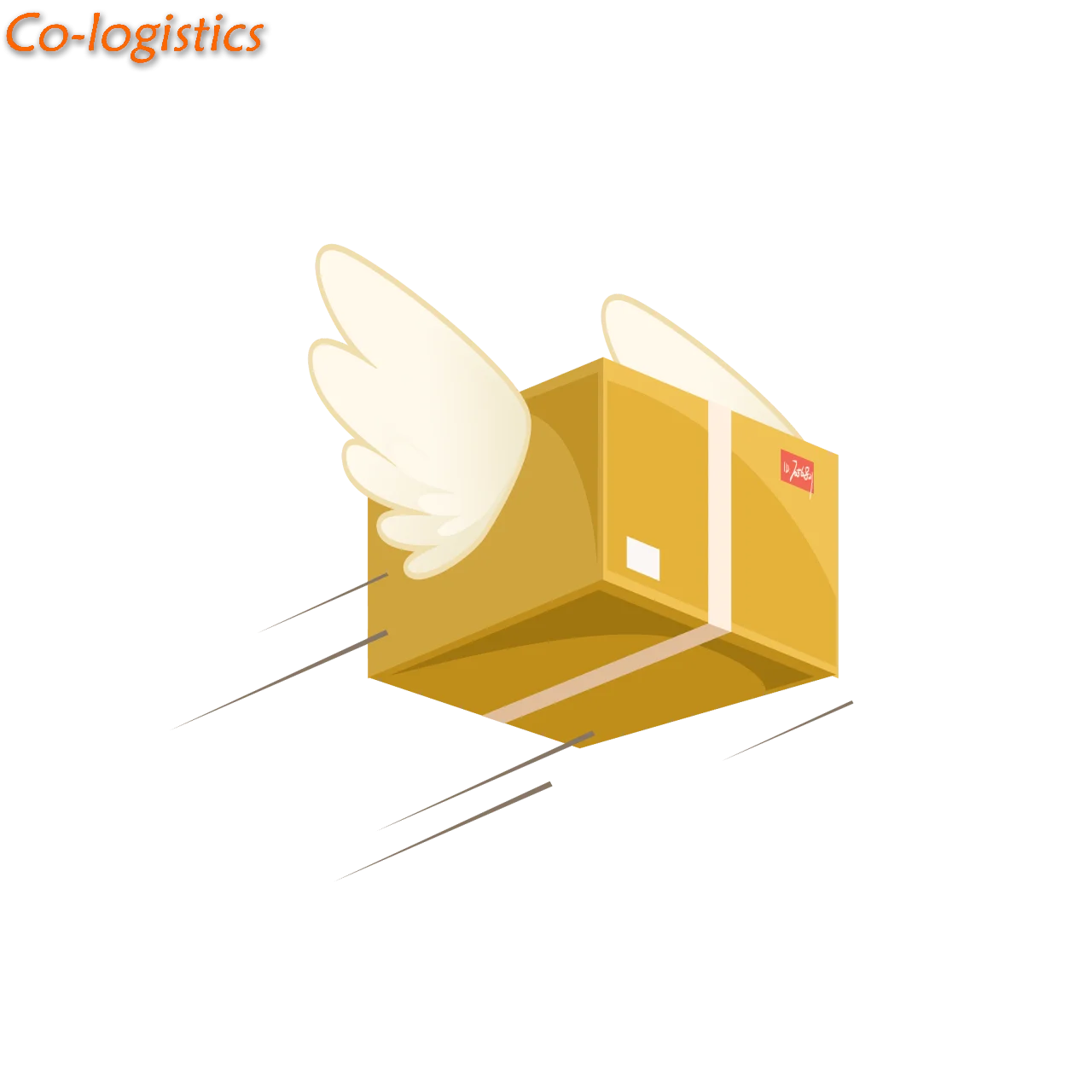 Drop Shipping Agent for Small Parcel Retail B2C Customized Shipping Service to Germany