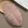 Pasta de frijol rosa